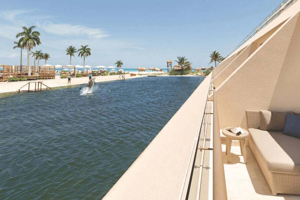 Dolphin pool Hyatt Ziva Cancun